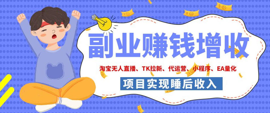 2026年多个真实落地副业项目，手把手带你搭建被动收入管道（淘宝无人直播、海外TK拉新、CSGO饰品交易、去水印小程序等）【揭秘】-邪修侠 - 演示