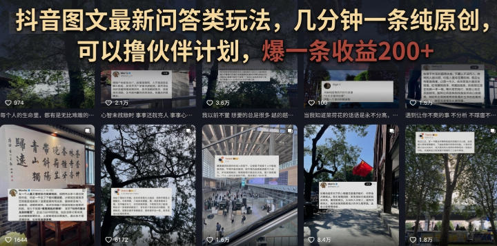 抖音图文最新问答类玩法，几分钟一条纯原创，可以撸伙伴计划，爆一条收益200+-邪修侠 - 演示