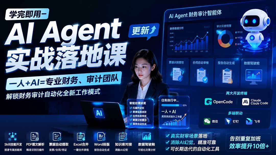 (19702期)学完即用—AI Agent实战落地课-更新:一人+AI=专业财务、审计团队,解锁财务审计自动化全新工作模式-小栈博客测试网