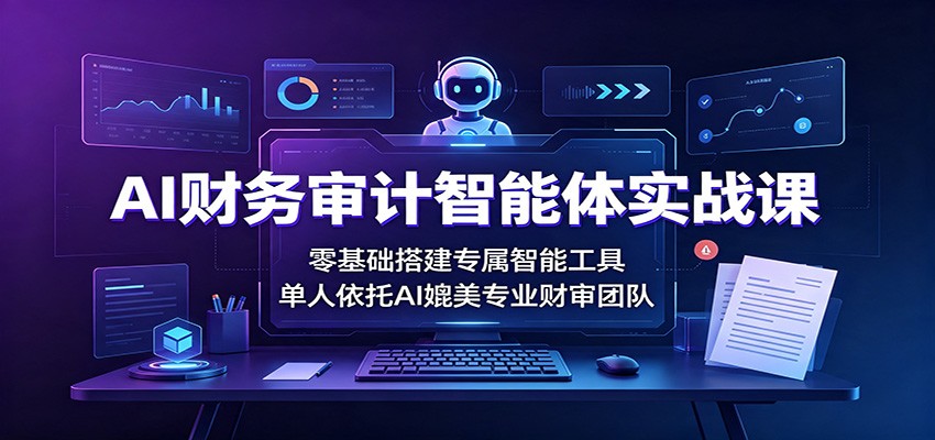 AI财务审计智能体实战课：零基础搭建专属智能工具，单人依托AI媲美专业财审团队-网创百晓生