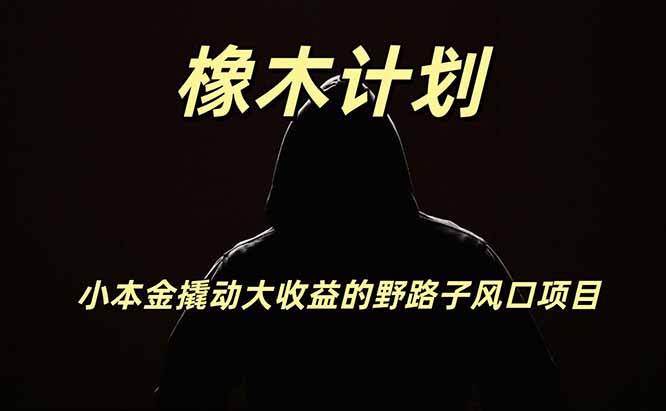 橡木计划，小投入撬动高回报的风口野路子项目，一天投入2小时左右-奇点库