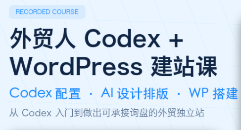 大卫·外贸人Codex + WordPress建站课(更新8月)-多课资源站
