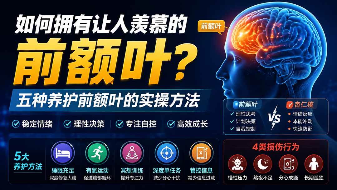 （19805期）付费文章：如何拥有让人羡慕的前额叶？五种养护前额叶的实操方法-小栈博客测试网