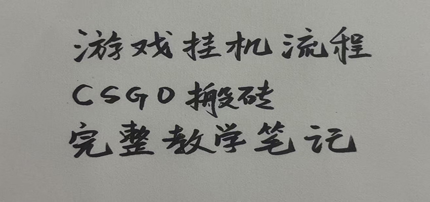游戏挂机全流程笔记分享，CSGO游戏搬砖，小白看了当天学会见收益-多课资源站