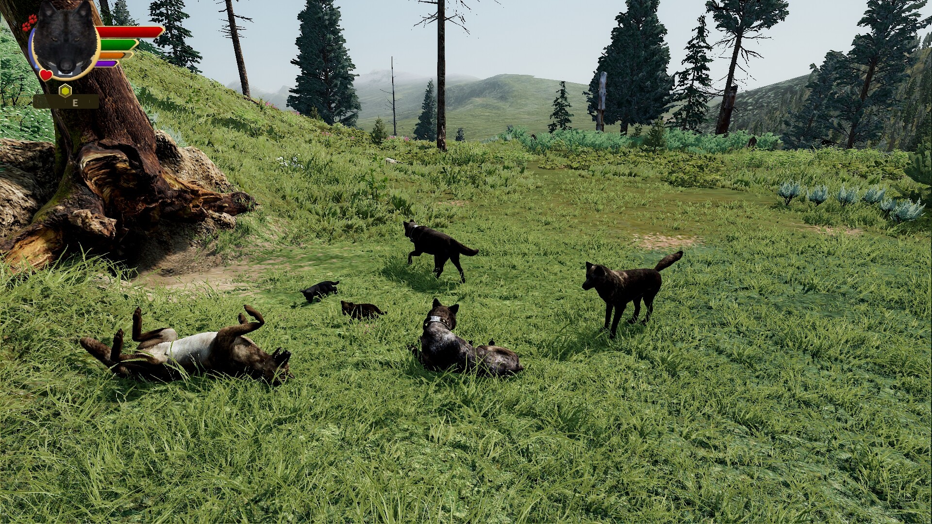 野狼谜踪：周年纪念版/WolfQuest: Anniversary Edition 版本更新