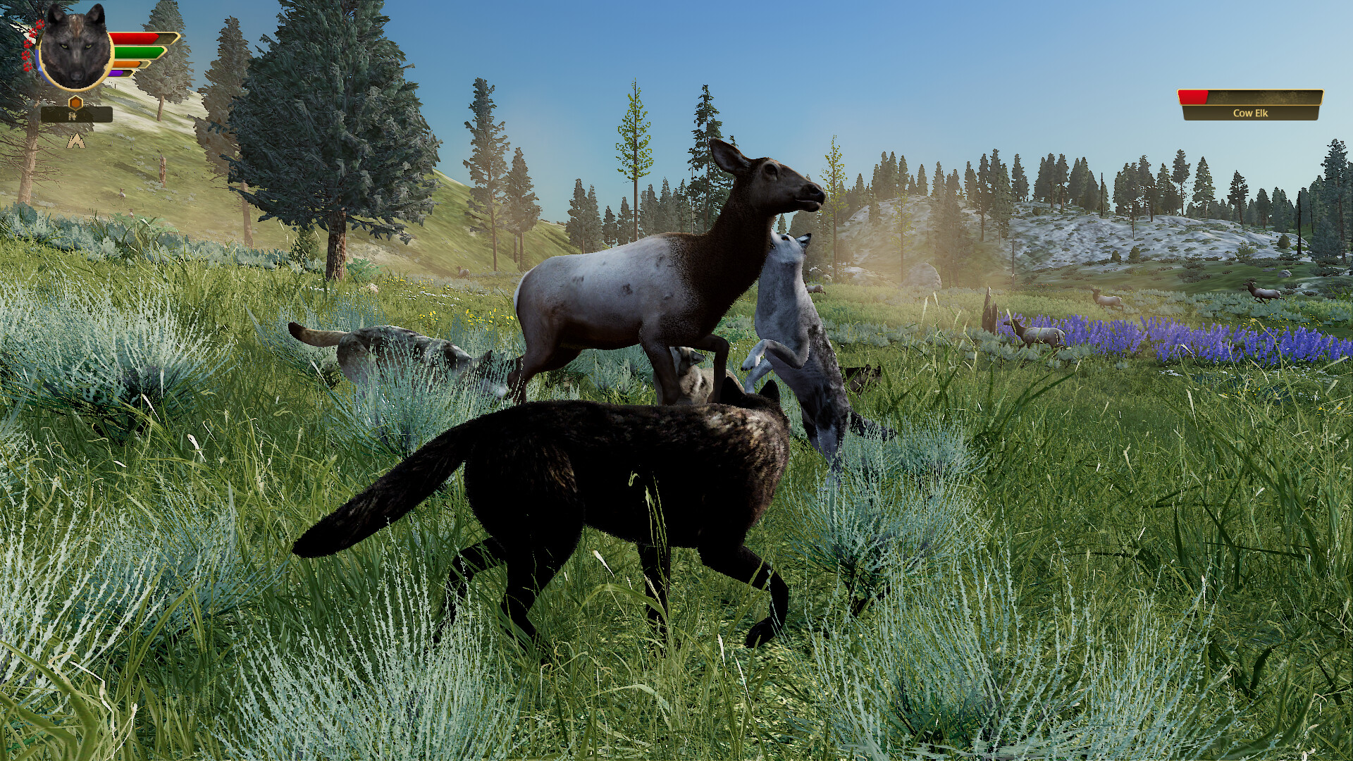 野狼谜踪：周年纪念版/WolfQuest: Anniversary Edition 版本更新