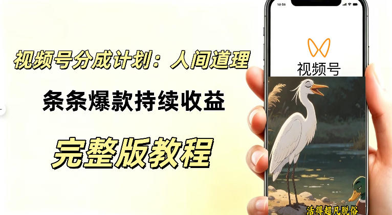视频号新玩法之AI动漫画风励志视频,不用会画画、不用拍摄,持续化收益,详细拆解-网创百晓生