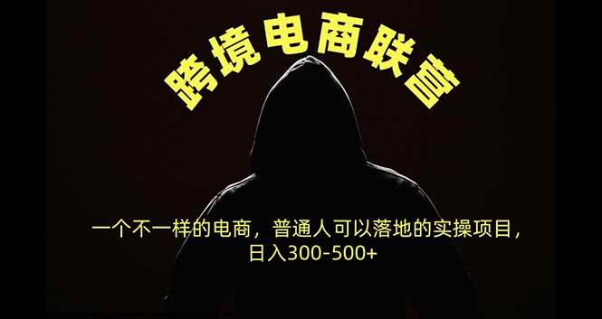 （20702期）跨境电商联营，一个不一样的电商，普通人可操作日入300-500+-网创百晓生