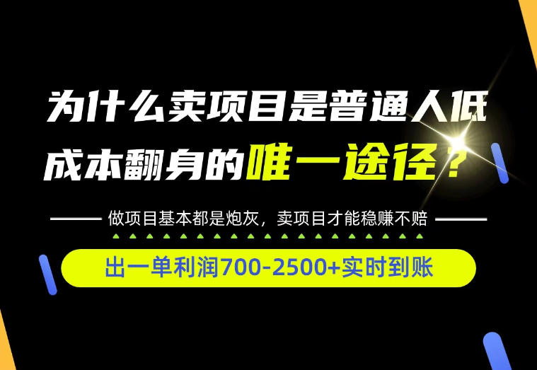 普通人如何靠互联网賺取自己的第一桶金！全类目实操型教学，看完你全都懂了！【揭秘】-邪修侠 - 演示