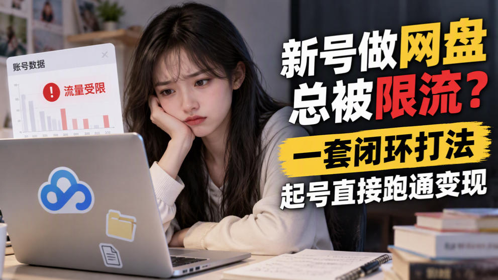 新号做网盘总被限流？一套闭环打法，起号直接跑通变现-邪修侠 - 演示
