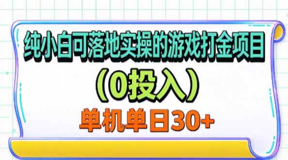 （20993期）纯小白可落地实操的游戏打金项目（0投入）单机单号30+-怪兽网创俱乐部
