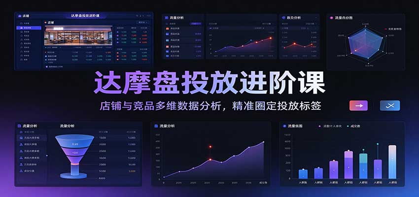 达摩盘投放进阶课：店铺与竞品多维数据分析，精准圈定投放标签-邪修侠 - 演示