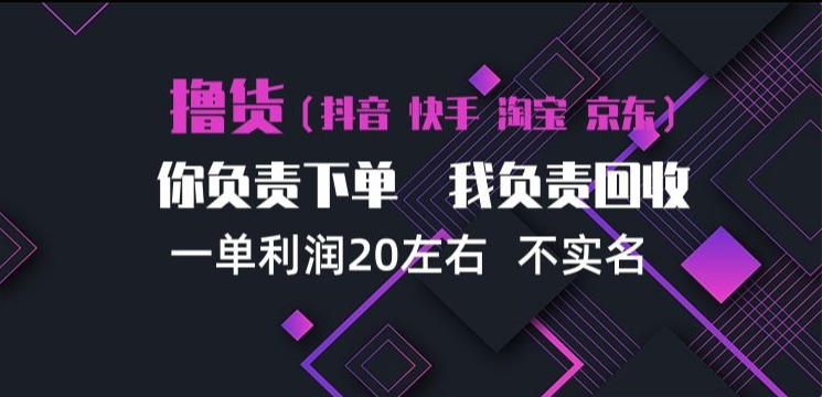 抖音淘宝快手买手项目，一单利润20左右，单号每天下三单，可矩阵【揭秘】-邪修侠