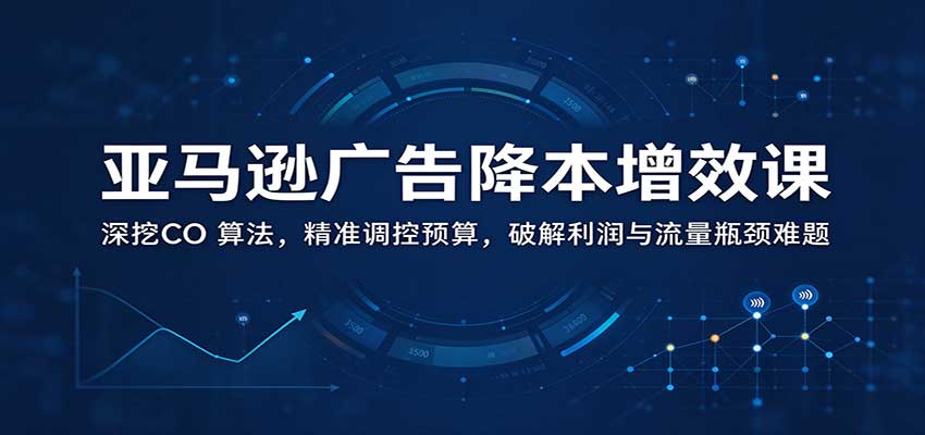 亚马逊广告降本增效课：深挖CO 算法，精准调控预算，破解利润与流量瓶颈难题-邪修侠 - 演示
