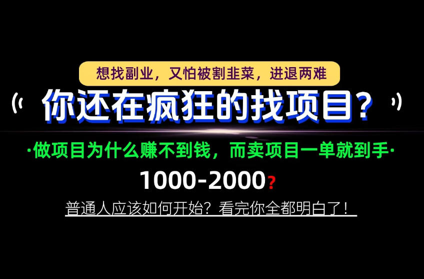 你还在疯狂的找项目？别傻了！卖项目才是真正的一本万利！怎么做，看完你全都明白！【揭秘】-副业资源网