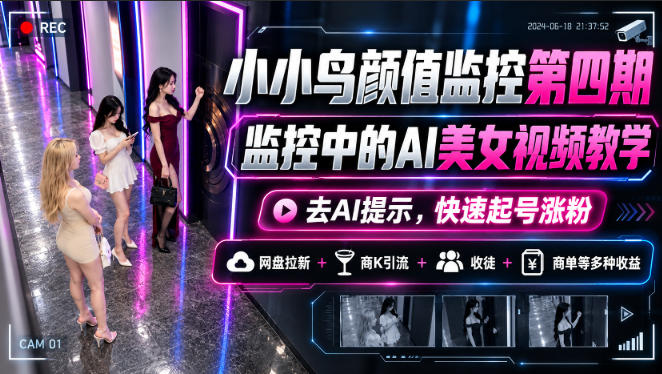 小小鸟颜值监控第四期，监控中的AI美女视频教学，去AI提示，快速起号涨粉，网盘拉新+商K引流+收徒+商单等多种收益-怪兽网创俱乐部