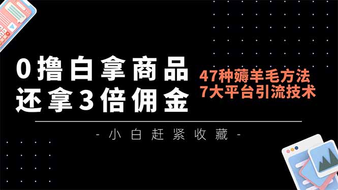 0撸白拿商品，还拿3倍佣金，47种薅羊毛方法，7大平台全方位引流技术教学，精专月入过万-邪修侠 - 演示