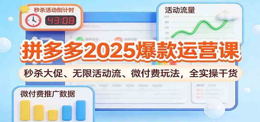 拼多多2025爆款运营课：秒杀大促、无限活动流、微付费玩法，全实操干货-网亿资源平台