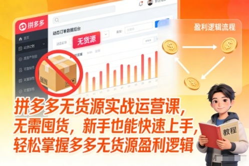 拼多多无货源实战运营课，无需囤货，新手也能快速上手，轻松掌握多多无货源盈利逻辑-邪修侠 - 演示