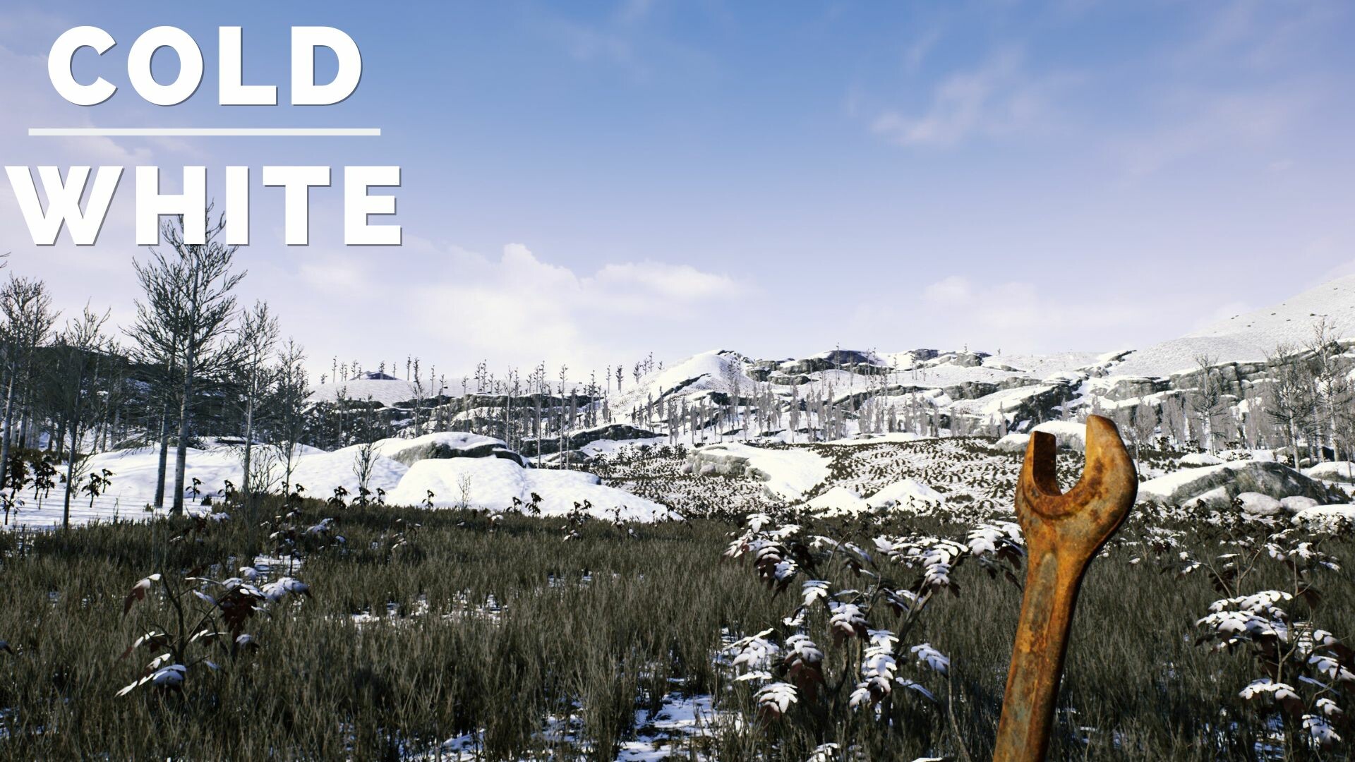 冷白/The Cold White 冷白/The Cold White