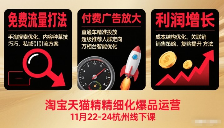 淘宝天猫精细化爆品运营11月22-24杭州线下课，免费流量打法+付费广告放大+利润增长（音频+文档）-邪修侠 - 演示