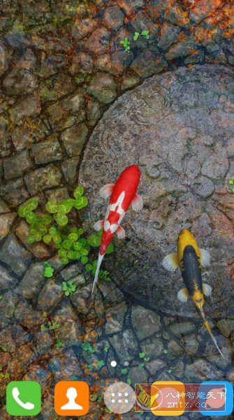 Water Garden Live Wallpaper 锦鲤3D动态壁纸2.05专业版-网亿资源平台