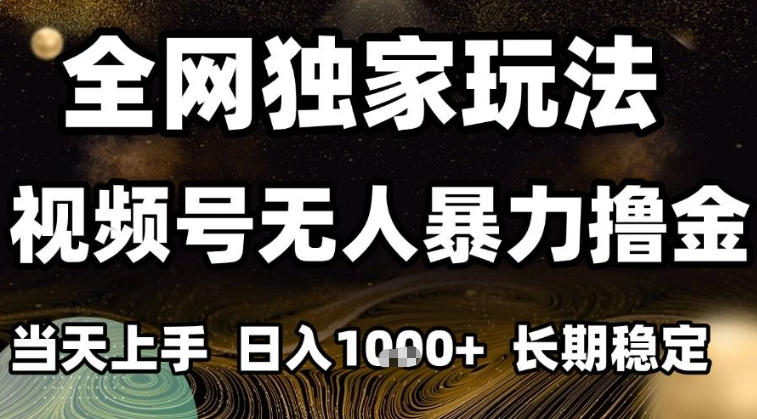 年底最新独家视频号无人直播撸礼物，小白也能轻松日入1k+，长期稳定，可批量复制【揭秘】-邪修侠 - 演示
