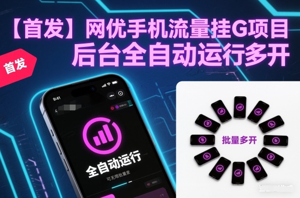 【首发】网优手机流量挂G项目，后台全自动运行，可无限批量多开【揭秘】-邪修侠 - 演示