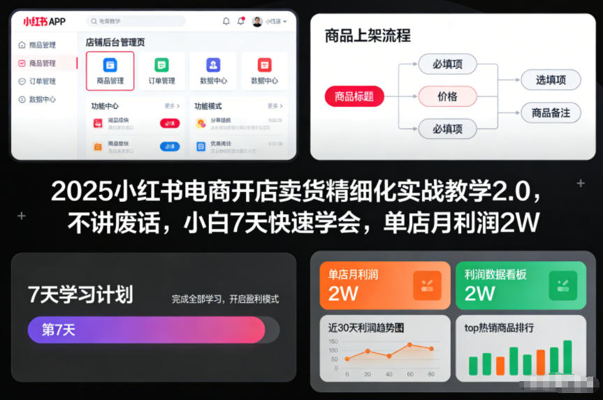 2025小红书电商开店卖货精细化实战教学2.0，不讲废话，小白7天快速学会，单店月利润2W-邪修侠 - 演示