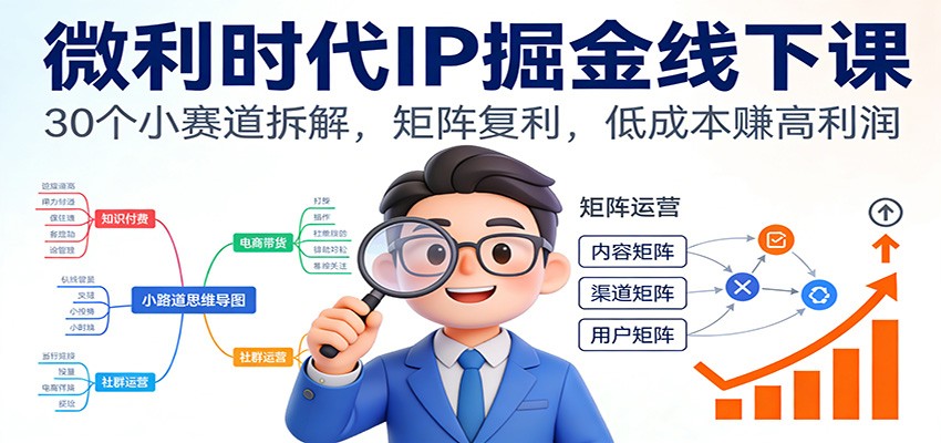 微利时代IP掘金线下课:30个小赛道拆解,矩阵复利,低成本赚高利润-邪修侠 - 演示