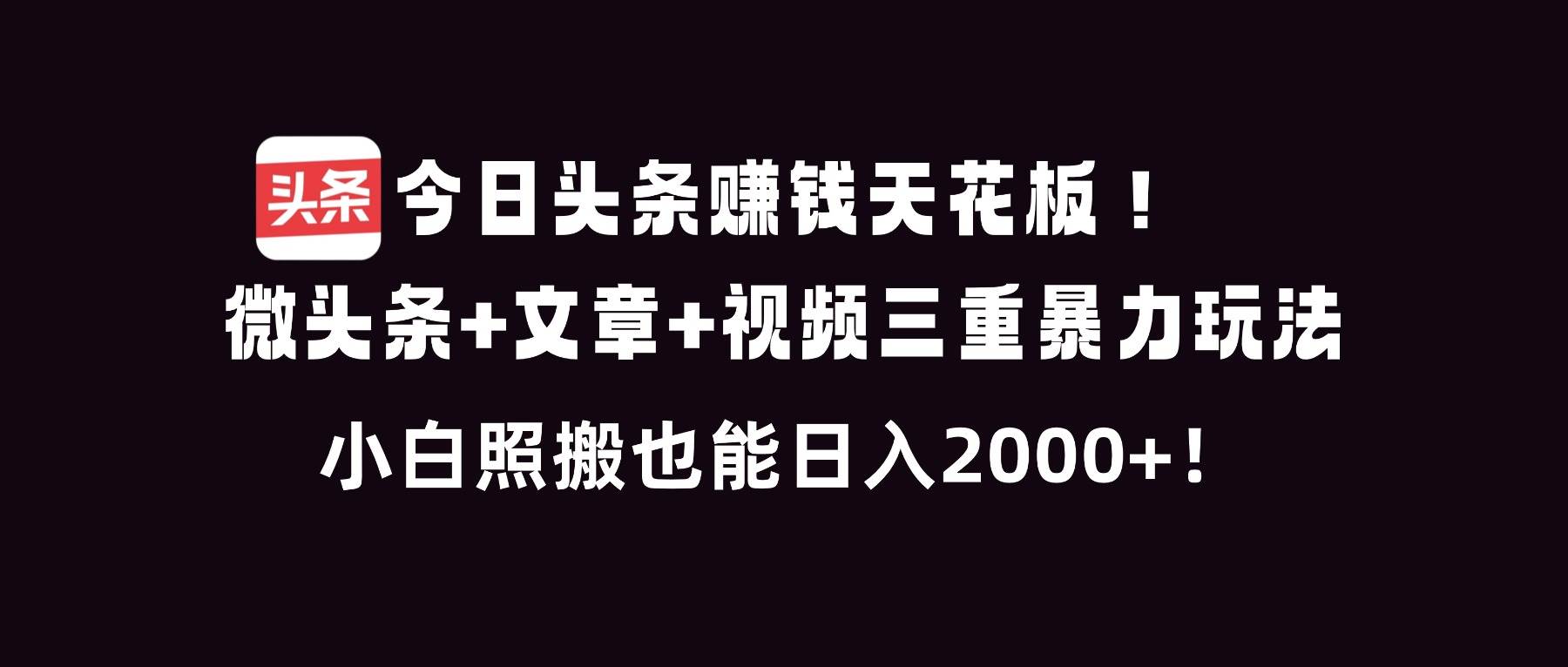 （16888期）今日头条赚钱天花板！微头条+文章+视频三重暴利玩法，小白照搬也能日人2000+-网亿资源平台