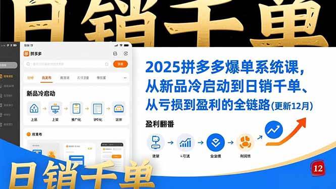 （16894期）2025拼多多爆单系统课，从新品冷启动到日销千单、从亏损到盈利的全链路（更新12月）-网亿资源平台