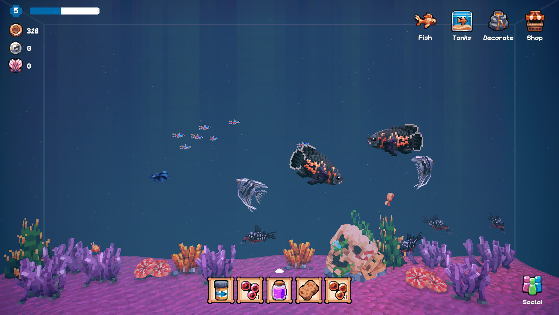 全球鱼友俱乐部:放置好时光/Tiny Aquarium: Social Fishkeeping 全球鱼友俱乐部:放置好时光/Tiny Aquarium: Social Fishkeeping