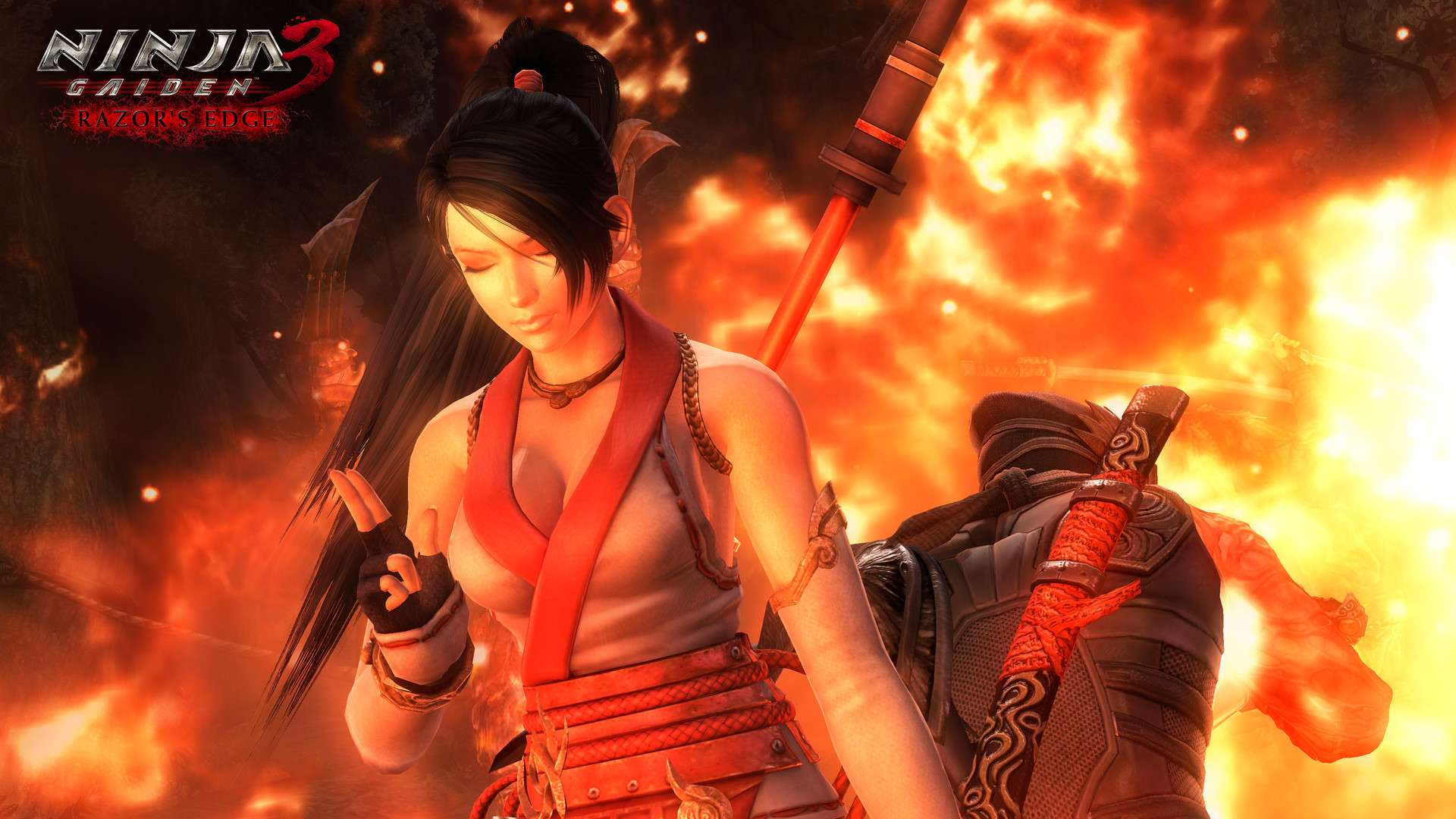 忍者龙剑传:大师合集/NINJA GAIDEN: Master Collection 忍者龙剑传:大师合集/NINJA GAIDEN: Master Collection