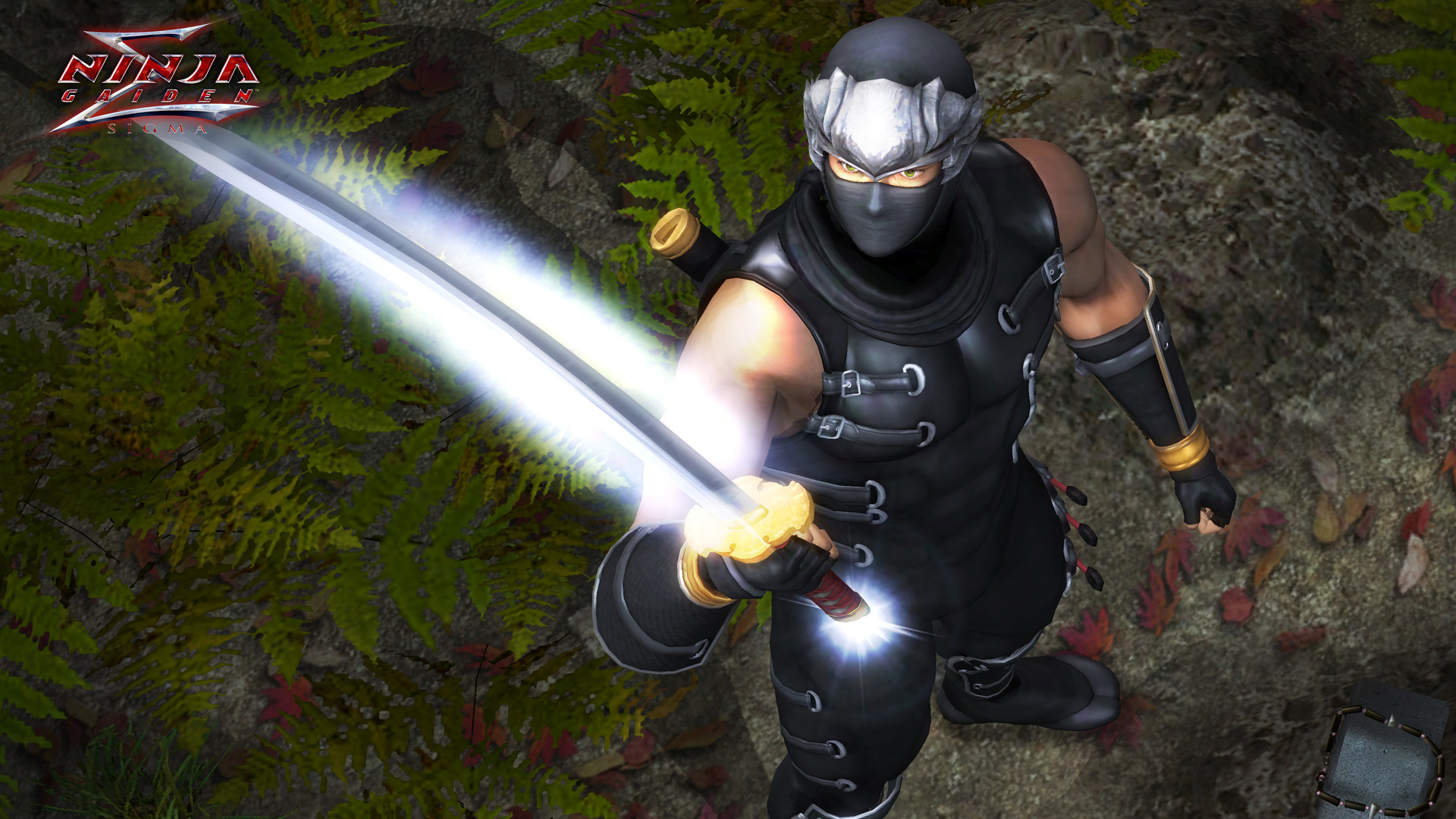 忍者龙剑传:大师合集/NINJA GAIDEN: Master Collection 忍者龙剑传:大师合集/NINJA GAIDEN: Master Collection