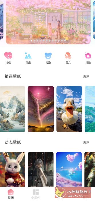 91熊猫桌面主题v1.0.6高级版-网亿资源平台