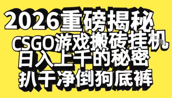 2026开年重磅解密，CSGO游戏搬砖挂G日入1k+的秘密，把倒狗的底裤扒干【揭秘】-网亿资源平台
