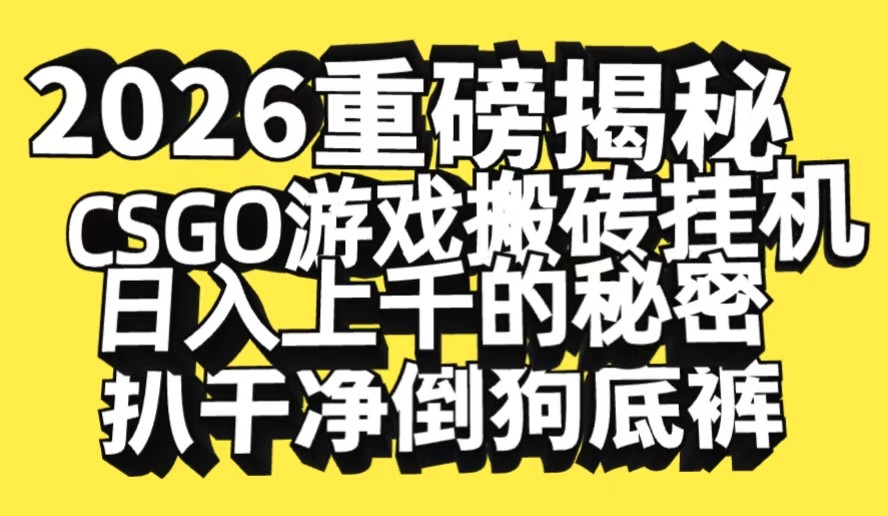 2026开年重磅解密，CSGO游戏搬砖挂机日入上千的秘密，把倒狗的底裤扒干-网亿资源平台