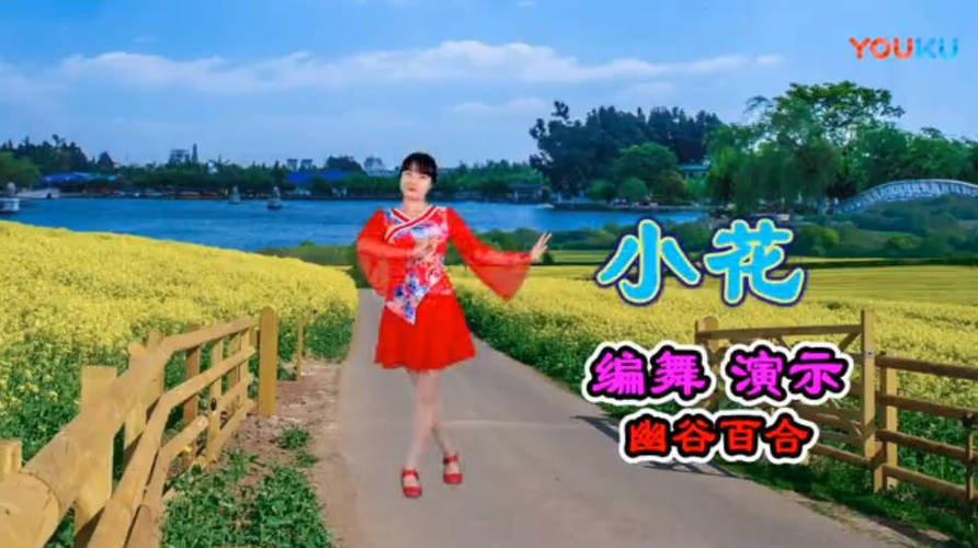 精选高清广场舞视频教学合集500首 精选高清广场舞视频教学合集500首