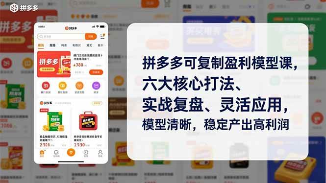 （16952期）拼多多可复制盈利模型课，六大核心打法、实战复盘、灵活应用，模型清晰，稳定产出高利润-网亿资源平台