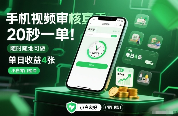 手机视频审核真香！20秒一单，随时随地可做，单日收益4张，小白零门槛冲【揭秘】-邪修侠 - 演示