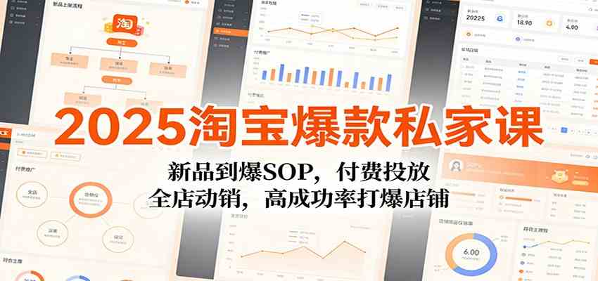 2025淘宝爆款私家课：新品到爆SOP，付费投放，全店动销，高成功率打爆店铺-网亿资源平台