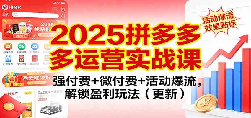 2025拼多多运营实战课：强付费+微付费+活动爆流，解锁盈利玩法（更新）-网亿资源平台
