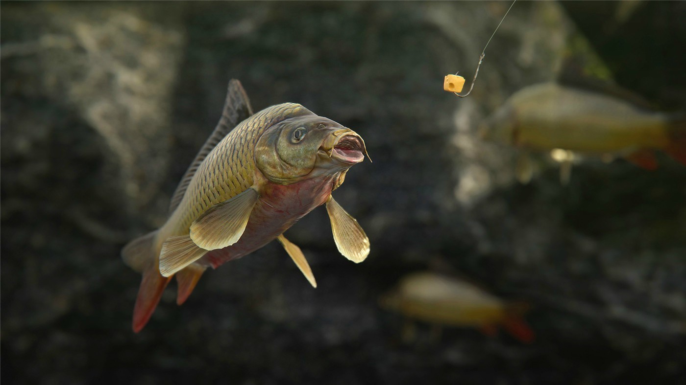 《人渣》v1.1.0.2.99989中文版-网亿资源平台