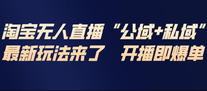 淘宝无人直播完整教程，公试+私域，最新玩法来了，开播即爆单-邪修侠 - 演示