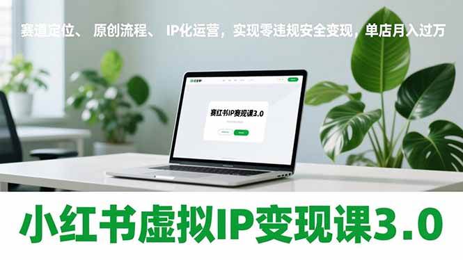 （17029期）小红书虚拟IP变现课3.0，赛道定位、原创流程、IP化运营，实现零违规安全变现，单店月入过万-网亿资源平台