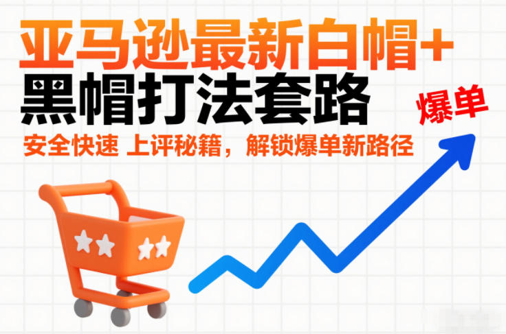 亚马逊最新白帽+黑帽打法套路，安全快速上评秘籍，解锁爆单新路径-邪修侠 - 演示