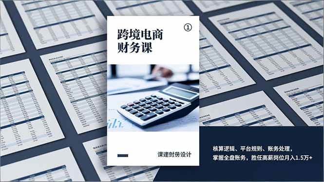（17036期）跨境电商财务课，核算逻辑、平台规则、账务处理，掌握全盘账务，胜任高薪岗位月入1.5万+-网亿资源平台