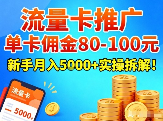 流量卡推广，单卡佣金80-100，新手月入5k+实操拆解！-邪修侠 - 演示