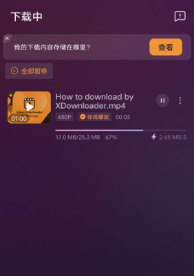 X Downloader X下载器v2.3.6 高级版-网亿资源平台
